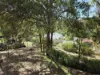 33 Bracknell Crescent, Denmark, WA 6333-Image