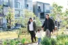33 Carnegie Street, Edmondson Park, NSW 2174-Image