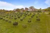 33 Clokes Lane, Amphitheatre VIC 3468-Image