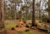 33 Daisy Rise, Cowaramup, WA 6284-Image