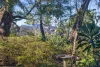 33 Days Crescent, Blackheath, NSW 2785-Image