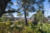 33 Days Crescent, Blackheath, NSW 2785-Image