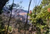 33 Days Crescent, Blackheath, NSW 2785-Image