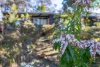 33 Days Crescent, Blackheath, NSW 2785-Image