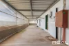 33 Downer Street, East Moonta, SA 5558-Image