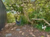 33 Eastland Drive, Ulverstone, Tas 7315-Image