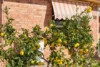 33 Fourth Avenue, Dodges Ferry, Tas 7173-Image