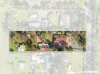 33 George Street, Greenock, SA 5360-Image