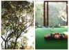 33 Godfrey Street, Penshurst, NSW 2222-Image