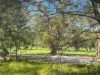 33 Golf Course Drive, Tewantin, Qld 4565-Image