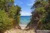 33 Gunn Parade, Low Head, Tas 7253-Image