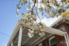 33 Laura Street, West Launceston, Tas 7250-Image