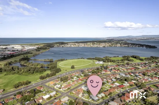 33 Lee Street, Warrawong, NSW 2502