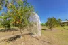 33 Linneus Street, Owanyilla, Qld 4650-Image