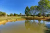 33 Linneus Street, Owanyilla, Qld 4650-Image