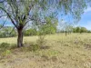 33 Long Gully Road, Summerholm, Qld 4341-Image