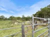 33 Long Gully Road, Summerholm, Qld 4341-Image