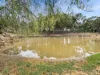 33 Long Gully Road, Summerholm, Qld 4341-Image