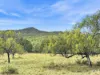 33 Long Gully Road, Summerholm, Qld 4341-Image
