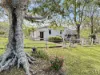 33 Long Gully Road, Summerholm, Qld 4341-Image