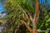 33 Marungi Way, Greenfields, WA 6210-Image
