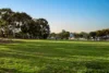 33 Newcombe Drive, Gilles Plains, SA 5086-Image