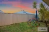 33 Nobilis Street, Beeliar, WA 6164-Image
