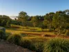 33 Old Creek Road, Childers, Qld 4660-Image