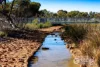 33 Palmerston Loop, Hilbert, WA 6112-Image
