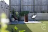 33 Palmview Street, Ripley, Qld 4306-Image