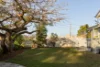33 Paul Street, Sandgate, Qld 4017-Image