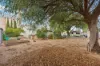 33 Railway Terrace, Karoonda SA 5307-Image