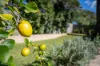 33 Reserve Drive, Bateau Bay, NSW 2261-Image