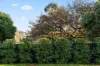 33 Second Avenue, Bridgewater, SA 5155-Image