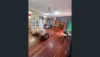 33 Sedgman Street, Moranbah, Qld 4744-Image