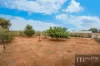 33 Sheedy Road, Virginia, SA 5120-Image