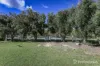 33 Springfield Drive, Springfield, WA 6525-Image