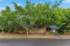 33 Sweetgum Street, Ashmore QLD 4214-Image
