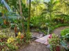 33 Tree Fern Close, Repton, NSW 2454-Image
