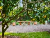 33 Tree Fern Close, Repton, NSW 2454-Image
