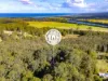 33 Tree Fern Close, Repton, NSW 2454-Image