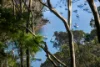 33 Wandeen Road, Clareville, NSW 2107-Image