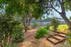 33 Williams Avenue, Yungaburra, Qld 4884-Image