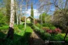 33 Wood Street, Beechworth, Vic 3747-Image