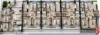 33 Woodside Ave, Burwood, NSW 2134-Image