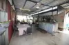 33 York Street, Queenton, Qld 4820-Image