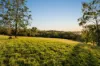 330-342 Boundary Street, Cranley QLD 4350-Image