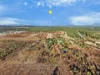 330, Black River QLD 4818-Image