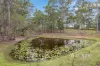 330 Dennis rd, Cedar Vale, Qld 4285-Image