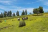 330 Sugarloaf Road, Carlton River, Tas 7173-Image